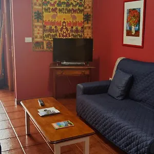https://bonito-y-amplio-piso-en-los-llanos-de-aridane.in-canary-islands.com